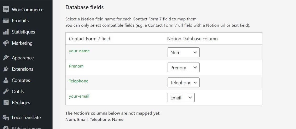 Feature Contact Form 7 Notion Integration
