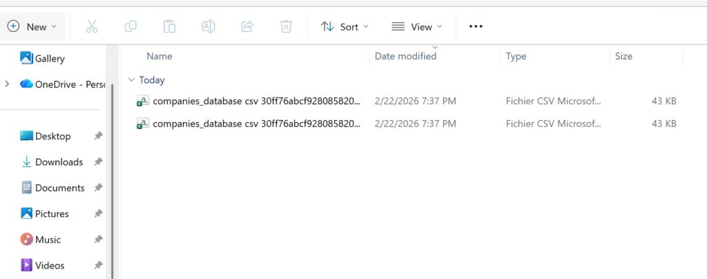Zip file when exporting Notion database to Excel